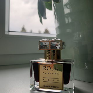 Aoud Absolue Précieux - Roja Parfums