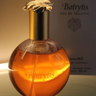 Botrytis by Ginestet