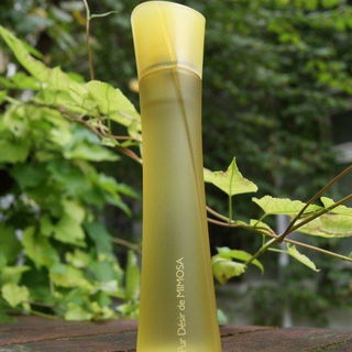 Pur Désir de Mimosa - Yves Rocher