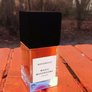 Magic Mushrooms von Bohoboco