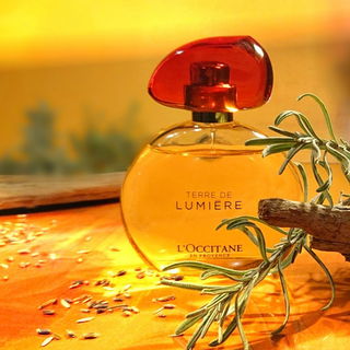 Terre de Lumière (Eau de Parfum) - L'Occitane en Provence