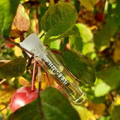 Vielen lieben Dank für Eure lieben Worte und Euren Besuch. Freut mich sehr. 🥰🍁🍂 (von Kailani)