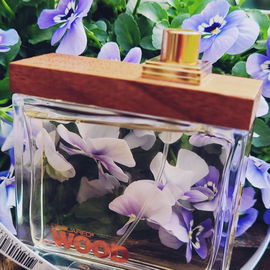 She Wood - Dsquared²