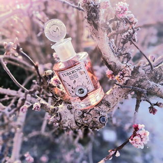Goddess (Eau de Parfum) - Burberry