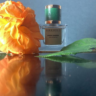 Green Garden - Birkholz