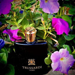 Trussardi Uomo (2011) (Eau de Toilette) - Trussardi