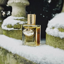 Infusion d'Iris Absolue - Prada