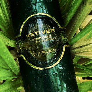 Vetiver (Eau de Toilette) von Guerlain