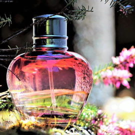 Pivoine Flora (Eau de Parfum) - L'Occitane en Provence