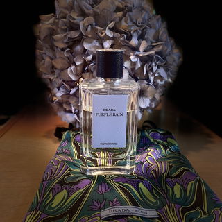 Purple Rain von Prada