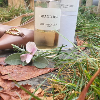 Grand Bal by Dior