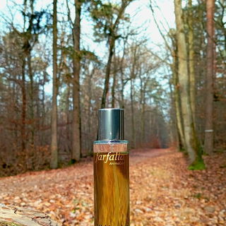 Waldzauber by Farfalla