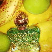 Obstcocktail-Duft in seinem natürlichen Habitat auf Mangos gebettet, umgeben von Limette... (by Gold)