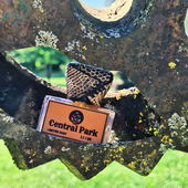 Grasiger Sprühlingsblüher : süßfloral abgemixte,parfümig-klassische Limoudnade. Jaka,das war nix! [für Seejungfrau] War ziemlich genau vor einem Jahr,dass ich Central Park bekam.[Hier im Park auf einer Skulptur] Mittlerweilen ist er weg. 😅 Vielen Dank allen. 🧜‍♀️ (von Seejungfrau)