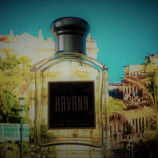 Havana (Eau de Toilette) von Aramis