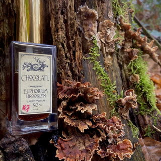 Chocolatl by Euphorium Brooklyn