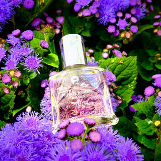 Private Number for Men (Eau de Toilette) von Aigner