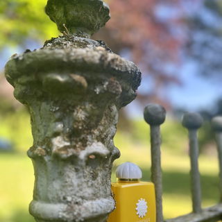 Sunshine Woman by Amouage