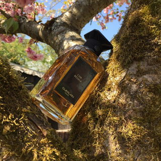 Cuir Béluga (Eau de Parfum) by Guerlain