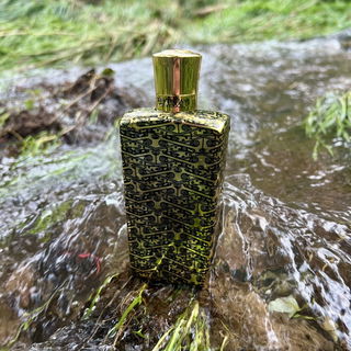 Gold Regatta von The Merchant Of Venice