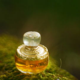 Yvresse (1993) / Champagne (Parfum) - Yves Saint Laurent
