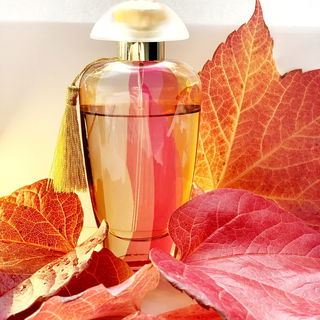 Suave Petals - The Merchant Of Venice