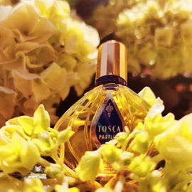 Tosca (Parfum) - Mäurer & Wirtz