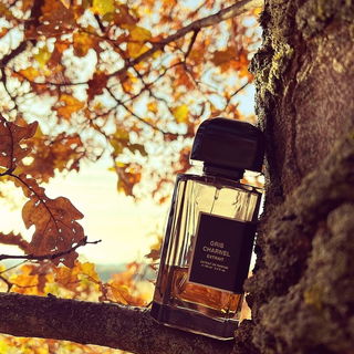 Anlehnen, und die letzten Herbstblätter genießen 🍂