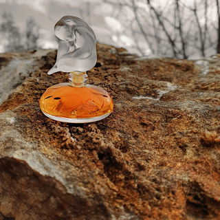 Saharastaub # Sonnenfilter