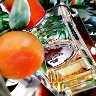 Infusion de Mandarine von Prada