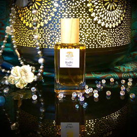 Bodhi Tree - Teone Reinthal Natural Perfume