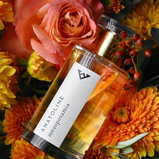 Mesopotamia by Anatoline