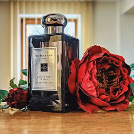 Velvet Rose & Oud (Cologne Intense) - Jo Malone