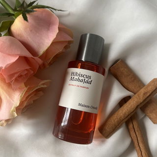 Hibiscus Mahajád von Maison Crivelli