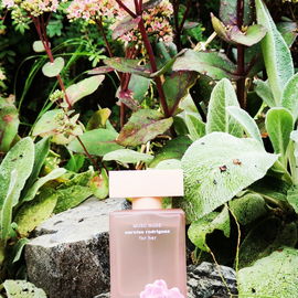 Pudrige Rosablüten mit samtiger Creme. 🌸 Ich möchte mich ganz herzlich bei euch für den Fotobesuch und die lieben Worte bedanken. 💚