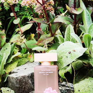 Pudrige Rosablüten mit samtiger Creme. 🌸 Ich möchte mich ganz herzlich bei euch für den Fotobesuch und die lieben Worte bedanken. 💚