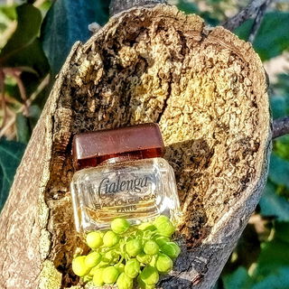 Cialenga (Parfum) - Balenciaga