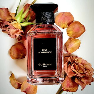 Fève Gourmande von Guerlain