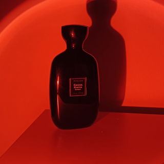 Cocoa Kimiya von Atelier des Ors