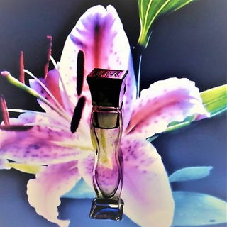 Hervé Léger - Hervé Léger