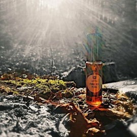 Zolushka's Harzherz # Purpur Augen.Glut # Außen lodern.Erntegold # Innen verglühen.Kiefernteer # Samhain Petroleumspur # Brennstoff > Richtung Beltane