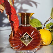 7th Collection 2022&nbsp; :  Balsamisch (Amber/Benzoe) süßwürzige Davana - Cognac - Fruchtgase umgarnen buttrigen Jasmin - Benzin getränkten Sandelschlamm. 🪷 VIELEN DANK allen. 🧜‍♀️ (von Seejungfrau)