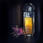 Love is a battlefield (by Anarlan)