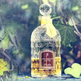 Mon Précieux Nectar - Guerlain