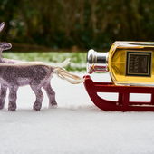 Expresszustellung, Lieferung bis Heilig Abend garantiert (von NuiWhakakore)