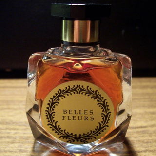 Belle Fleurs (Pink) - Taxor