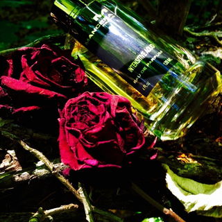 Black Intensitive Aoud - Mancera