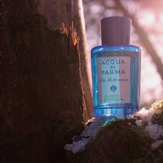 Cipresso di Toscana - Acqua di Parma