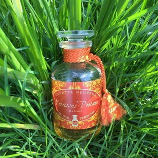 Narcissus Poeticus - Annette Neuffer