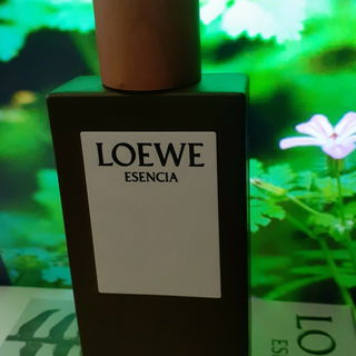 Esencia (Eau de Toilette) von Loewe